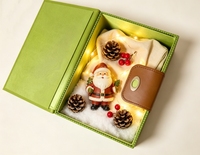 Boîte cadeau rigide écologique de luxe avec poignée et impression de logo en relief pour cadeaux d'affaires et de fêtes