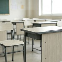 Chaise de bureau scolaire individuelle en acier moderne, robuste et ergonomique, réglable en hauteur, vente en gros d'usine pour les achats scolaires