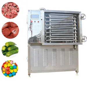 Wholesale Commercial Industrial Cold Air Top Press Freeze Dryer Sublimation Drying Equipment Vacuum Lyophilization Machine