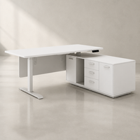 Bureau debout électrique modulaire personnalisé, poste de travail exécutif réglable en hauteur avec armoire latérale pour bureau d'entreprise