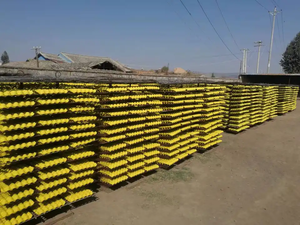 Máquina para Fabricar Cajas <span class=keywords><strong>de</strong></span> Huevos ZengTuo, 2000 Piezas/h, Pulpa <span class=keywords><strong>de</strong></span> Papel Reciclado, 3*4, Venta a Senegal - Product Image 5