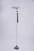 Harga Terbaik Walking Stick