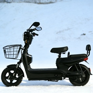 Motocicleta Eléctrica de 48V 350W/1000W con Motor en el Buje Trasero, Cuadro de Acero, Neumáticos de Vacío de 14 Pulgadas, 2 Asientos, 3 Velocidades, Batería de Litio, 30-50 km/h - Product Image 3