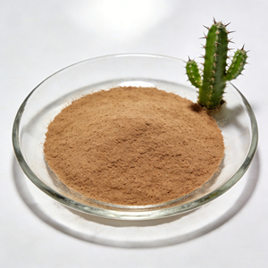 Extrait <span class=keywords><strong>de</strong></span> cactus <span class=keywords><strong>de</strong></span> haute qualité, extrait d'Opuntia Ficus-indica, extrait <span class=keywords><strong>de</strong></span> cactus <span class=keywords><strong>Nopal</strong></span>, <span class=keywords><strong>poudre</strong></span> d'extrait <span class=keywords><strong>de</strong></span> cactus - Product Image 1