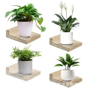 <b>Wall</b> <b>Mounted</b> Wooden Plant <b>Shelf</b> Rectangle Floating Display Panel For Indoor Greenery Storage - Product Image 5