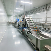 Ligne de production de chips de pommes de terre fraîchement coupées avec chauffage externe au gaz et filtration des impuretés pour la transformation des aliments surgelés