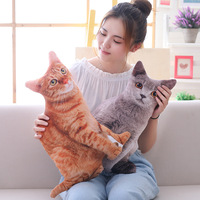 En stock : Coussin chauffe-mains en peluche BT, motif animaux de dessin animé mignons et kawaii (Dinosaure, Chat, Cochon, Husky), jouet en peluche pour machine à griffes