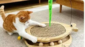 Juguete Rascador Interactivo para Gatos, Rascador Redondo de Madera con Plumas Colgantes y Pistas de Bolas para Jugar en Interiores - Product Image 5