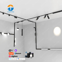 Éclairage sur Rail Magnétique Linéaire LED Ultra-Mince Encastré et Caché pour Plafond 48V, Spots 1M 1.5M 2M 3M, Système Slim à 4 Fils