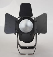 Projecteur LED COB 2-en-1 DMX512 200W WW+CW pour Scène, Studio, Mariage et Théâtre