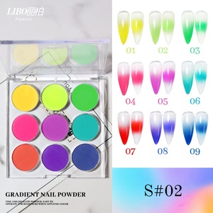 Nouvelle palette de dégradé pour nail art, poudre solide, paillettes, pigment, poudre miroir, 9 couleurs/ensemble, nail art - Product Image 2