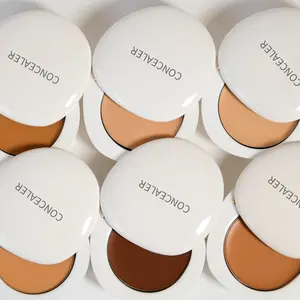 Tavolozza di correttori per il viso ad alta definizione a lunga durata Private Label trucco professionale copertura completa crema vegana Pro Concealer