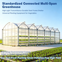 Invernadero Agrícola Grande de Múltiples Vetas con Estructura de Acero para Cultivo Comercial de Vegetales