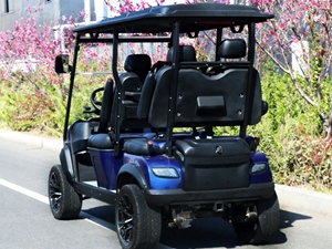 Carrito de <span class=keywords><strong>Golf</strong></span> Eléctrico Económico, Compacto para Ocio Personal y Desplazamientos de Corta Distancia - Product Image 4