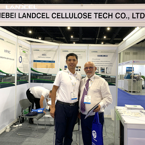 Productos químicos Materias primas en polvo <span class=keywords><strong>HPS</strong></span> utilizado para aditivos de masilla de pared interior y exterior de yeso - Product Image 4