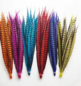 Plumas de faisán Amherst para mujer, la mejor venta, baratas