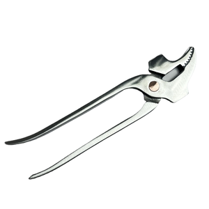 Alicates italianos de pico de pájaro para DIY, nueva actualización, herramienta Artesanal de cuero, Zapatero, talabarderos, pinzas, martillo duradero de acero para - Product Image 1