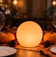 Boule lumineuse LED RGB de Noël, lampe sphérique pour jardin, décoration flottante pour piscine, ambiance lumineuse, blanc chaud, alimentation électrique, décoration de fête