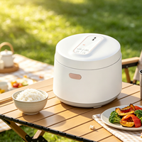 Cuisinière à riz de haute qualité, multicuiseur, 2L, mini-cuisinières à riz électriques pour un usage domestique