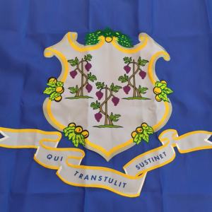 热销康涅狄格州刺绣3X5英尺美国50州国旗三角旗耐用210D牛津布坚固耐用 - Product Image 2