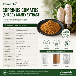 Extracto de Hongo Shaggy Mane en Polvo Premium, <span class=keywords><strong>Coprinus</strong></span> <span class=keywords><strong>Comatus</strong></span>, Extracto Concentrado en Polvo para Fabricación de Marca Privada - Product Image 6