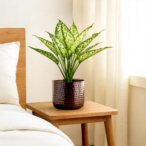 Pot de fleurs moderne en métal martelé avec motif irrégulier pour la décoration intérieure - Product Image 1