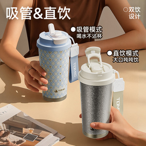 Temeco Titanium Cup 500Ml Insulated With Straw For Travel And Office Use - Product Image 1