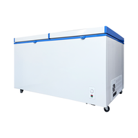 Congélateur solaire professionnel 508L à double porte DC 12V 24V avec panneaux solaires pour le marché d'Afrique et du Moyen-Orient