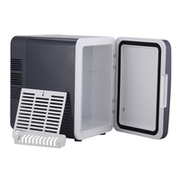 Mini-réfrigérateur portable 4L CE ROHS, double usage chaud/froid, en plastique, pour extérieur, voyage, voiture, hôtel