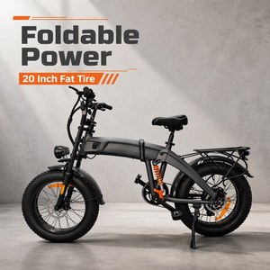 Vélo électrique pliable vintage 20 pouces, double moteur, double batterie, pneus larges 4.0 pour la neige, la plage, tout terrain, hors route LT-011 - Product Image 5