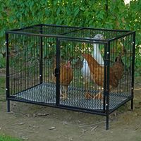 Cage à poulets en fer durable, design simple, plateau en plastique, aspect moderne, portes à accès facile, cadre thermolaqué, capacité de 25 lb, boîte
