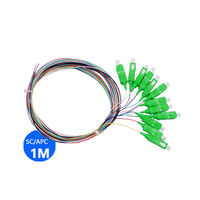 Factory Direct Price 12-Core 0.9mm SC/APC Single Mode Fibre Bundle Pigtail 1M Available Fibre Optic Patch Cord