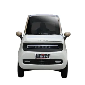 Quadricycle électrique fermé à 2 portes et 2 places, mini voiture électrique EV avec certificat EEC COC - Product Image 5