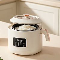 Mini cuiseur à riz intelligent pour 1 à 3 personnes, cuve intérieure en céramique antiadhésive, cuiseur à riz électrique, cuisson rapide, usage domestique
