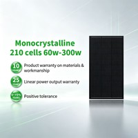 Panneau solaire monocristallin compact de 300W à 120 demi-cellules, module photovoltaïque pour maison, balcon, abri, toit, alimentation hors réseau