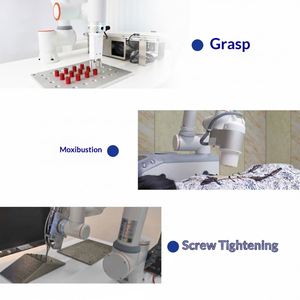 Bras de robot collaboratif à six axes pour le remorquage, léger, capacité de 30 kg, manutention, palettisation, chargement, déchargement, photographie, moxibustion - Product Image 5
