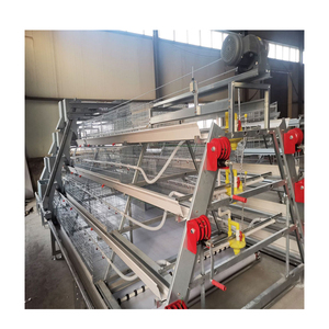 Gabbie per polli professionali multistrato personalizzate per broiler e <span class=keywords><strong>pulcini</strong></span> - Product Image 1