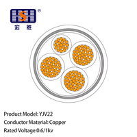 Câble d'alimentation basse tension Hongsheng YJV22 0,6/1 kV à 3 conducteurs en cuivre, isolation XLPE, gaine PVC, pour installation souterraine, certifié ISO9001/CCC