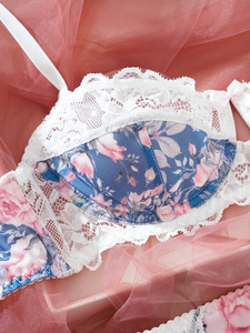 Ensemble de lingerie sexy pour femmes avec soutien-gorge push-up à armatures en dentelle semi-transparente, imprimé floral romantique, soutien-gorge et culotte 2 pièces pour femmes - Product Image 4