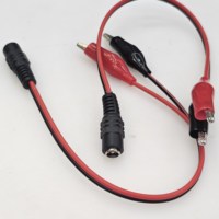 Câble de test DC 5.5*2.1 mâle/femelle vers pince crocodile, pince crocodile de taille moyenne, câble d'alimentation 5521