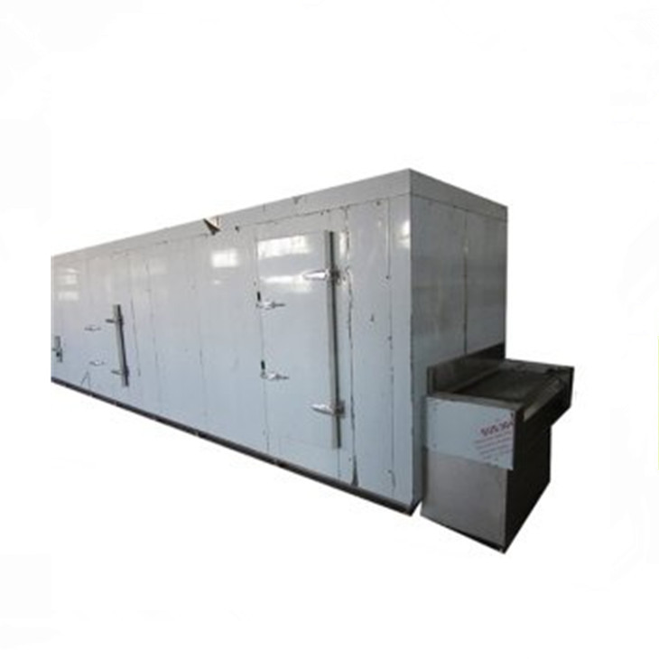 Shanghai IQF Quick Freeze System for