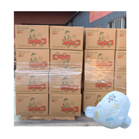 OEM ODM Couches-culottes jetables pour bébés de haute qualité certifiées CE Fabricant de couches pour bébés Afrique du Sud