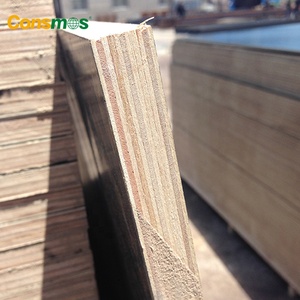 1220*2440*18mm <span class=keywords><strong>Contreplaqué</strong></span> marin <span class=keywords><strong>Contreplaqué</strong></span> <span class=keywords><strong>pour</strong></span> la construction - Product Image 3