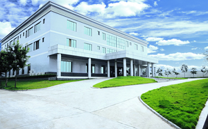 Op Maat Gemaakte Food Grade Molding Natuurlijke Rubber Latex Afdichting Verouderingsbestendigheid Hoge Precisie Verschillende Grootte Siliconen Stoppers - Product Image 4