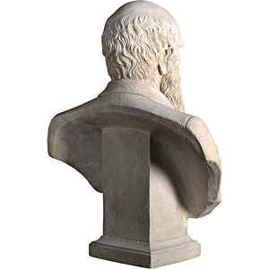 Estatua de Busto de Charles Darwin de Diseño Toscano, Escultura de Mesa de Piedra Antigua y Fibra de Vidrio - Decoración para el Hogar o el Jardín - Product Image 2