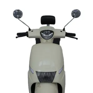 新しいトレンド72V2000Wオートバイ電動バイクとスクーターの卸売