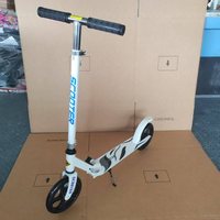 Trottinette en métal pour enfants, pliable, légère, cadre en acier, roues en PU, lumières LED, poussée à pied, pour les enfants de 5 à 12 ans, sports de plein air, populaire