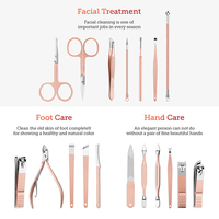 Kit de coupe-ongles professionnel personnalisé en acier inoxydable 18 pièces, ensemble d'outils de soin des ongles, pédicure, manucure