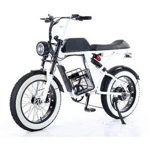 <span class=keywords><strong>Vélo</strong></span> <span class=keywords><strong>Électrique</strong></span> Tout-Terrain à Pneus Larges 20'' 48V 500W avec Suspension – Nouveau Modèle en Promotion Fabricant pour Sports Off-Road - Product Image 4