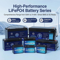 Paket Baterai LFP Lifepo4 24v 100Ah yang Dapat Disesuaikan untuk Sistem Penerangan Darurat, Penerangan Jalan Tenaga Surya, dan Daya Tambahan Campervan